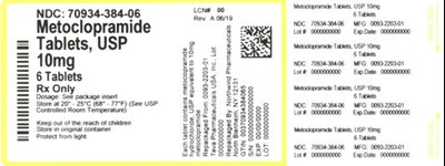 Label (70934 384 06   Rev A 06 19)